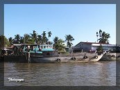 [Click to enlarge]